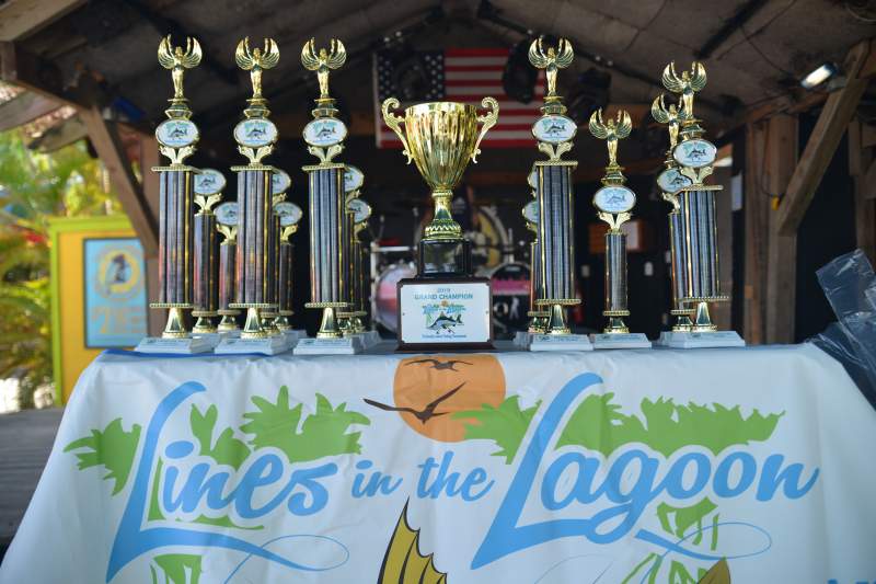 Row of trophies on  a table 